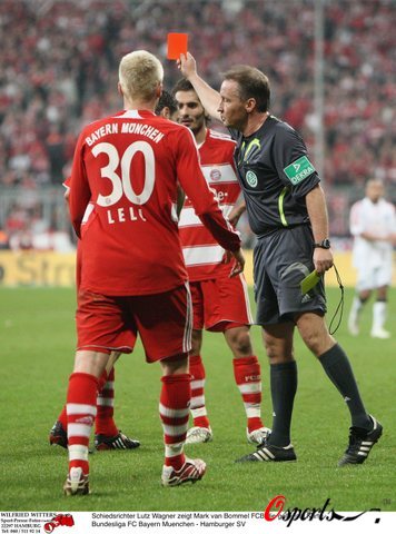 她们不仅凭 她们不仅凭